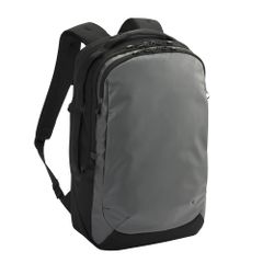 Item thumbnail for item 2af5b519-5baa-4621-8a43-f12aed78a27c