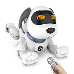 FUJISOFT palro ロボット型 - メルカリ