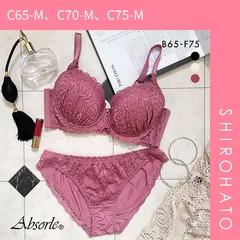 33％OFF【SHIROHATO公式】【正規品・新品】アブソール Absorle 脇高レーシー ブラジャー ショーツ セット 脇高 脇肉 BCDEF 大きいサイズ(C65-M、C70-M、C75-M)