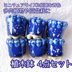 お得6点セット！ 上品な青色と桜の花びらのような模様の和風陶器植木鉢 豆盆栽や苔盆栽などに！ 苔や多肉植物の緑が綺麗に映える ミニミニ盆栽 ミニチュア インテリア 小品盆栽 盆栽鉢 豆鉢 多肉植物 陶器鉢 山野草 bonsai pot plant pot