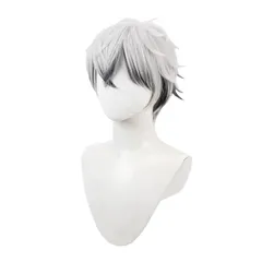 連休特価　現品　ツイステ　スカリー　イメージコスプレウィッグ Amazon.co.jp: [Beauty 出品] ツイステ風 Lost in the Book～始まりの