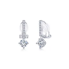 FH.bird イヤリング レディース 揺れる 金属アレルギー対応 結婚式 イヤリング キュービックジルコニア 可愛い シンプル オフィス 母の日 プレゼント 母の日 ギフト 入学式 卒業式 女性 ジュエリー