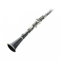 Item thumbnail for item 081bb815-7bbb-4382-8b23-58f091be2a9f