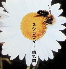 鈴木咲穂 紙 ミクストメディア 「overlap(fence)」 日本画 - メルカリ