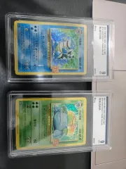 ポケットモンスター 25周年 이상해꽃 カメックス ホール カード