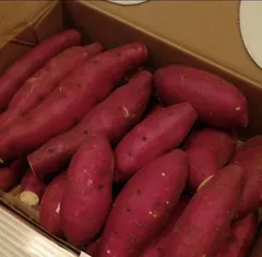 ７名様先着☆限定値下げ中☆富山産さつまいも紅はるか１．５～２キロ☆ベニハルカ