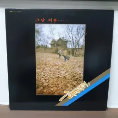 ひまわり 2 家 あの日 以来 LP 1988 ソラブリコード