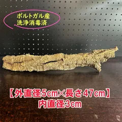 2026年最新】コルク樹皮 キャノンの人気アイテム - メルカリ