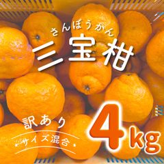 訳あり‼️和歌山県産 三宝柑 さんぼうかん 4kg サイズ混合 さんぽうかん さんぼ 有田みかん フルーツ 柑橘