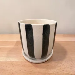 植木鉢 花器 陶器 ベージュ 黒 ストライプ 底穴あり 受け皿付き 外寸11cm 高さ11cm 塊根植物 多肉植物 観葉植物