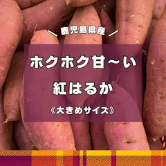 《大きなお芋》訳あり紅はるか　10kgのサムネイル