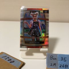 Item thumbnail for item f9e4412e-2c5d-4844-9cb8-a639d9928dc4