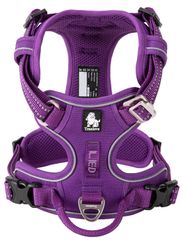 Item thumbnail for item 9181b935-e1c7-4e93-a0c4-7c271a3a821d