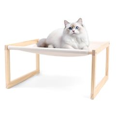 Item thumbnail for item d77235f8-dc2c-4509-9d35-b7fc27384c24