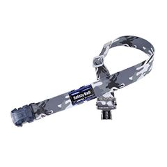 Item thumbnail for item 2c067161-2ab0-440d-9b87-e2b3268cf28b