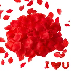  花びら 2000枚セット 薔薇 造花 プロポーズ 飾り 結婚式 誕生日 お祝い クリスマス パーティー用飾り バラの花びら 赤色