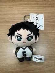 (未使用) ハイキュー 赤葦 京治 ケージ ぬいぐるみ キーホルダー 10cm