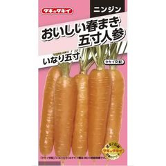 タキイ種苗 野菜種 ニンジン おいしい春まき五寸人参 いなり五寸