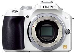 LUMIX DMC-G5 ダブルズームレンズキット Panasonic - メルカリ