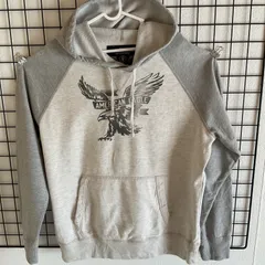 AMERICAN EAGLE OUTFITTERS パーカー L/G グレー
