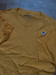 チャンピオン カーハート 半袖Tシャツ Mサイズ