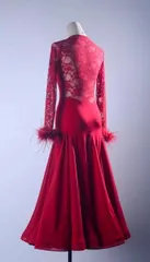 新品未使用 新作 社交ダンスドレス レース 薔薇 スタンダードドレス 羽根 オーダーメイド ダンスウェア ラテンダンス 舞台 発表会 ダンス衣装 社交ダンス