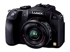 2026年最新】Lumix DMC-G6の人気アイテム - メルカリ