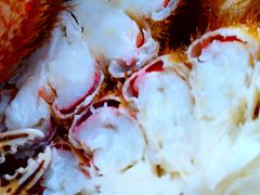 国産】冷凍ヒヨコ 400羽 ふわふわ鮮度抜群！ - メルカリ