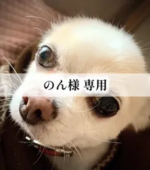 のん様 専用