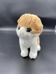 サンレモン Kitten (キトン) ぬいぐるみ スコティッシュフォールド ブラウンのサムネイル