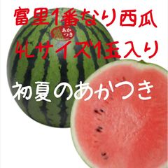 この時期最高に美味い！熊本産【肥後漫遊】秀品特4L（1玉9kg以上）かめ