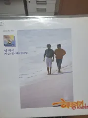 ひまわり 1 家 未開封 lp