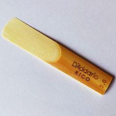 Item thumbnail for item 8025ddd9-cdcf-4acf-aa6d-cefbf35ced9d