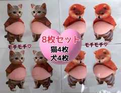 スクイーズ　 お腹シール おなかぷにぷにシール ぷにぷに 柴犬　猫 お腹ぷにぷにシール