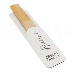 Item thumbnail for item 8f6962ad-4e81-4301-8998-7bd702106b52