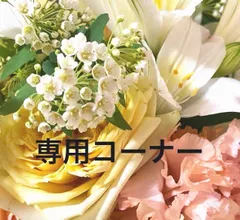 ちいぃー様専用