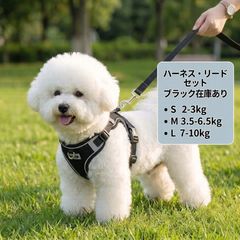 Item thumbnail for item a254bc93-01b3-466d-b689-bb64584d679c