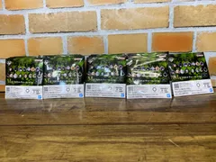 【未開封中古品】一番くじ 呪術廻戦 死滅回游 壱 M賞 アクリルチャーム 22個セット