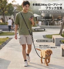 Item thumbnail for item 3313f332-1292-44b8-b419-fdcc06565bb8