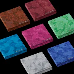 (CD)ENHYPEN [THE SIN : VANISH] (FUGITIVES ver.)（韓国盤）【正規輸入盤】／