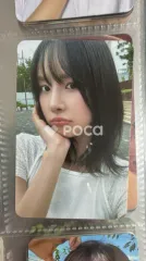 2025 シーグリ : SUNFLOWER