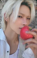 ENHYPEN FUGITIVES Ver. NIKI THE SIN:VANISH