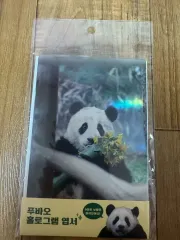 プーバオ ホログラム はがき 6枚 セット