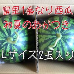 この時期最高に美味い！熊本産【肥後漫遊】秀品5L（2玉20kg以上）かめ