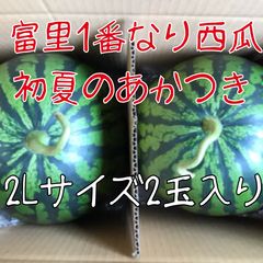 この時期最高に美味い！熊本産【肥後漫遊】秀品5L（2玉20kg以上）かめ