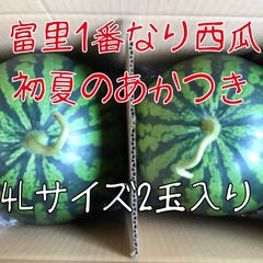 この時期最高に美味い！熊本産【肥後漫遊】秀品5L（2玉20kg以上）かめ