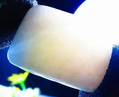 市場価格38万円！希少 ★超綺麗見惚れるほど美しい！！！純天然糸魚川翡翠超巨大原石15ｇ★tk4207