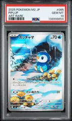 【PSA10】 ポッチャマ AR インフェルノX