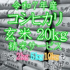 コシヒカリ玄米20キロ◆栃木県産 銘柄米 玄米20kg◆令和７年産のサムネイル