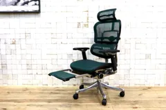 GMIK961〇Ergohuman / エルゴヒューマン デスクチェア オフィスチェア メッシュ リクライニングワークチェア オットマン ヘッドレスト プロのサムネイル